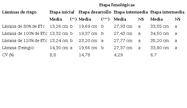 Prueba de Tukey de acuerdo al crecimiento de las ra&iacute;ces adventicias en las diferentes l&aacute;minas de riego y etapas fenol&oacute;gicas en el cultivo de tomate