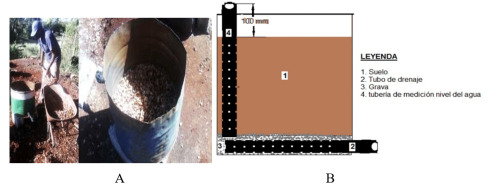 Recipiente de lat&oacute;n preparado con grava. 1B. Esquema de disposici&oacute;n del suelo y el resto de los materiales.