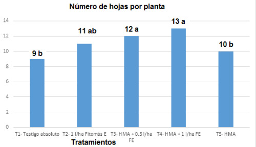 Influencia de los tratamientos en el n&uacute;mero de hojas.