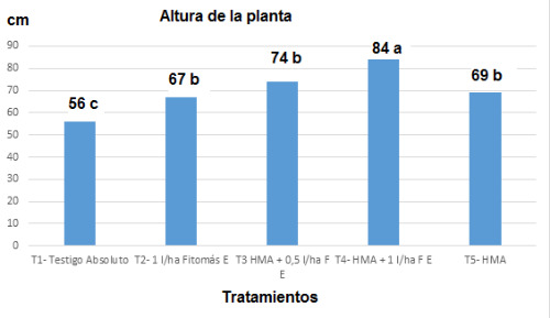 Altura de la planta.