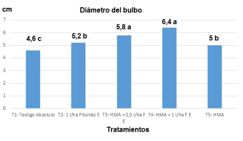 Di&aacute;metro del bulbo.