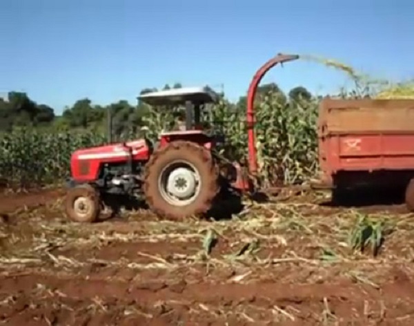 Conjunto formado por el tractor MF 275, la cosechadora KUHN MC 90S TWIN y el remolque.