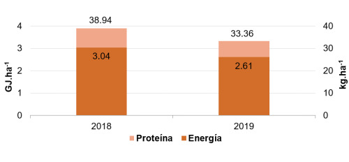 Producción de energía y proteína.