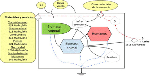 Representación simplificada del flujo de energía en el sistema, año 2019.
