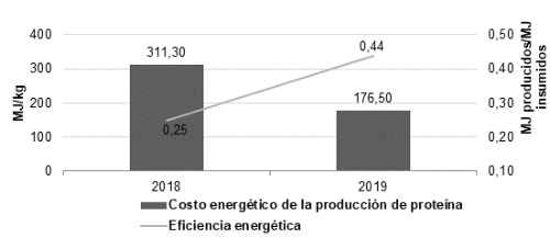 Costo energético de la producción de proteína y eficiencia energética.