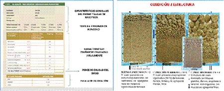Planilla de resumen de resultados y muestra de hoja de evaluación (Shepherd et al. 2008).