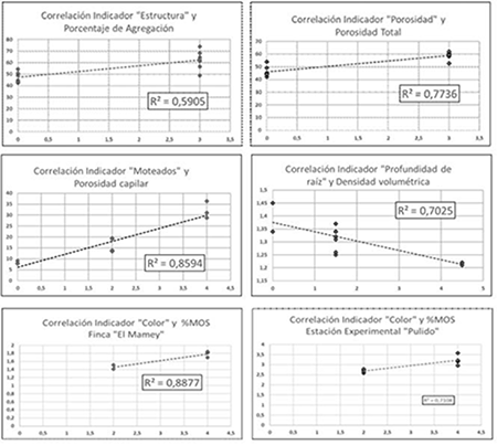Correlaciones lineales entre algunos indicadores del sistema Evaluación Visual de Suelos (EVS) y propiedades físicas relacionadas determinadas en el laboratorio.