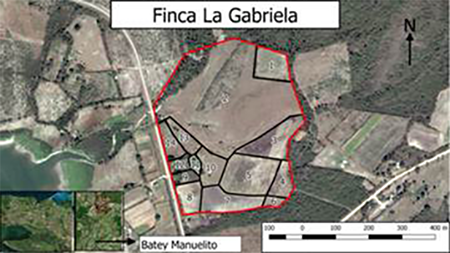 Imagen satelital de ubicación de la finca con sus contornos y divisiones.