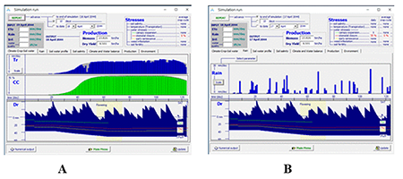 Salida del modelo Aquacrop para rendimiento potencial del maz en el escenario SSP1-2.6 y modelo Mri-esm2 para el ao Hmedo (2043-2044).