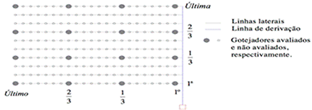 Esquema de metodologia de determinao da uniformidade em sistema de gota-a-gota, Keller e Karmeli (1975) citados por Santos et al. (2021).