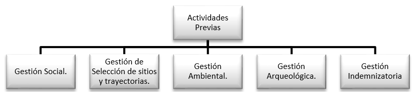 Organigrama de la Residencia de Actividades Previas.