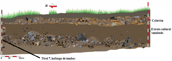 Estratigrafa perfil Este, sitio 137, corte 1