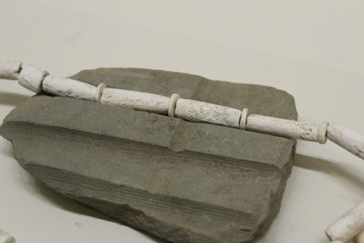 Herramienta para elaborar cuentas tubulares de diversos tama�os