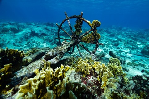 Naufragio identificado durante la Expedici�n Seaflower en cayo Bol�var