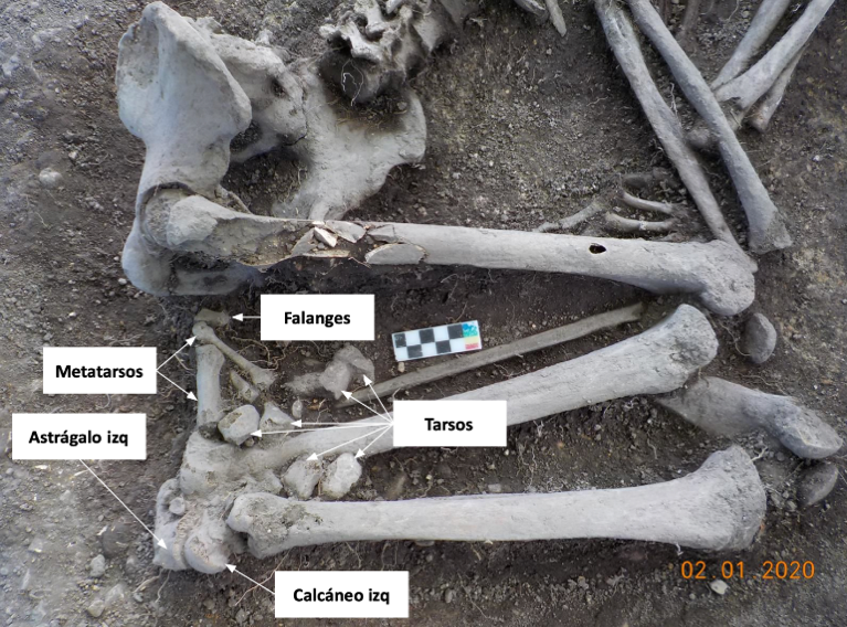 Huesos de los pies del individuo 33, enterramiento 28