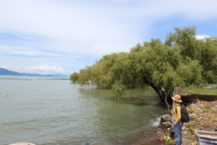 Lago de Chapala en San Crist�bal Zapotitl�n