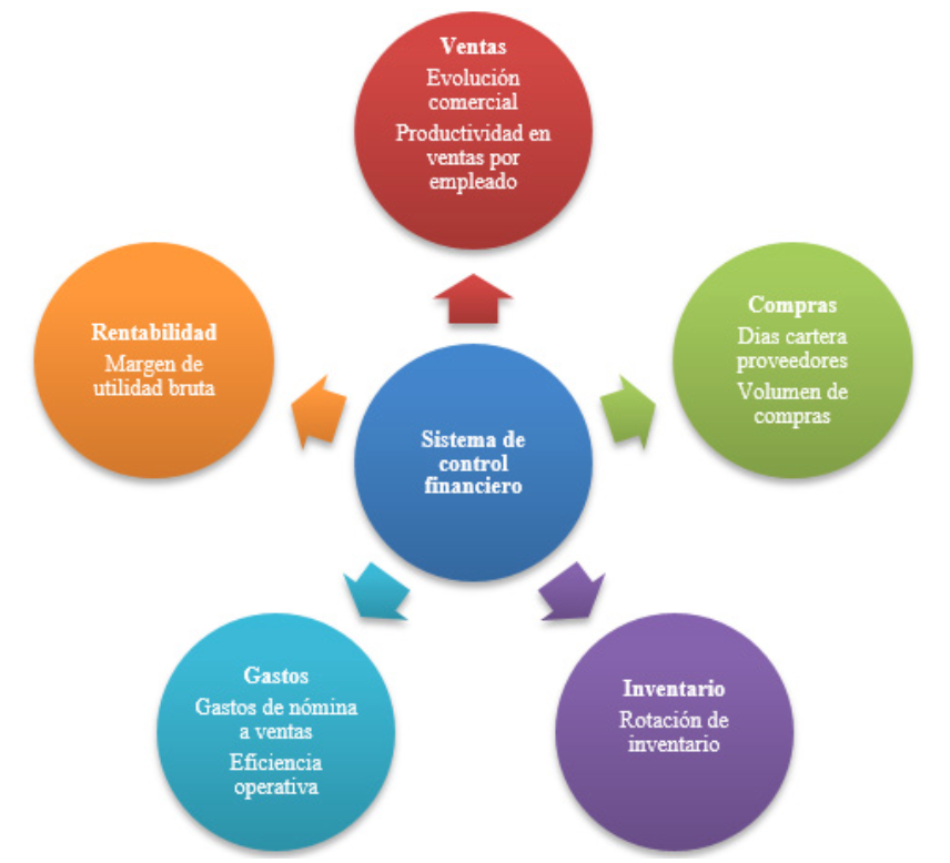 Esquema del sistema de control financiero
