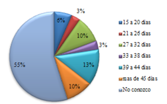 D�as de inventario de mercader�a
