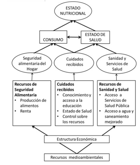 Marco conceptual de los determinantes del estado nutriciona