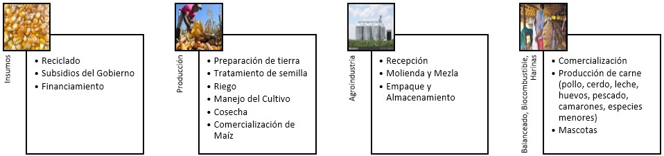 Estructura de la cadena productiva en ManabEcuador