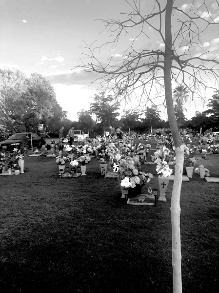 En Tierra Santa las fotos de los j&oacute;venes asesinados son un paisaje cada vez m&aacute;s com&uacute;n. Batamote, ejido Benito Ju&aacute;rez, municipio de Guasave, Sinaloa. Archivo propio, 2018.