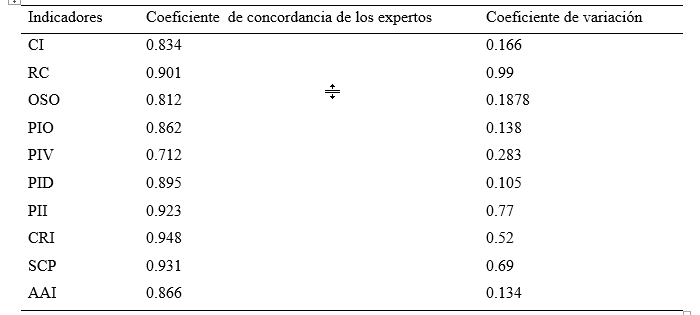 Coeficiente de concordancia de expertos segundada vuelta de an&aacute;lisis