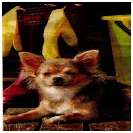 O jornal impresso e suas imagens II