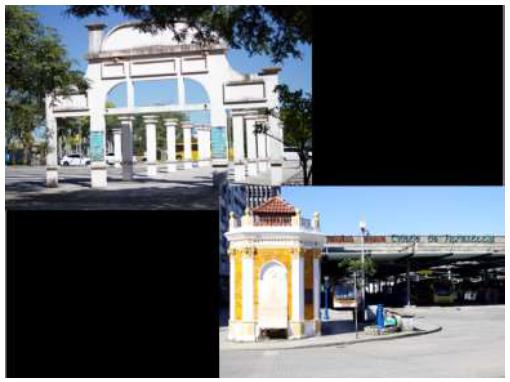 Esqueletos sobreviventes do mar