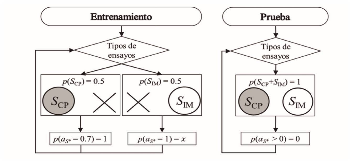 Esquema del procedimiento de Experimento 1