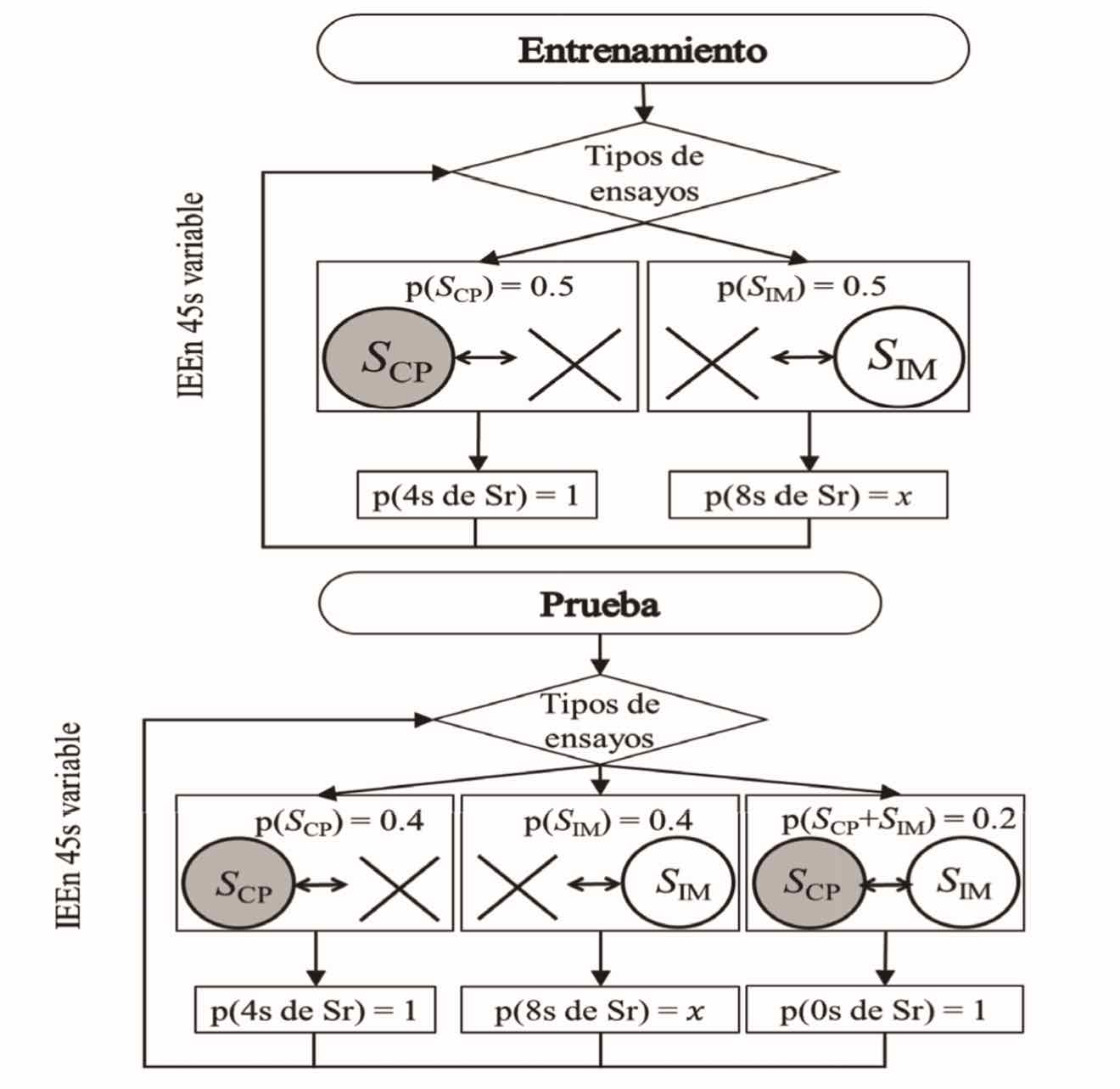 Esquema del procedimiento de las dos etapas durante una fase experimental