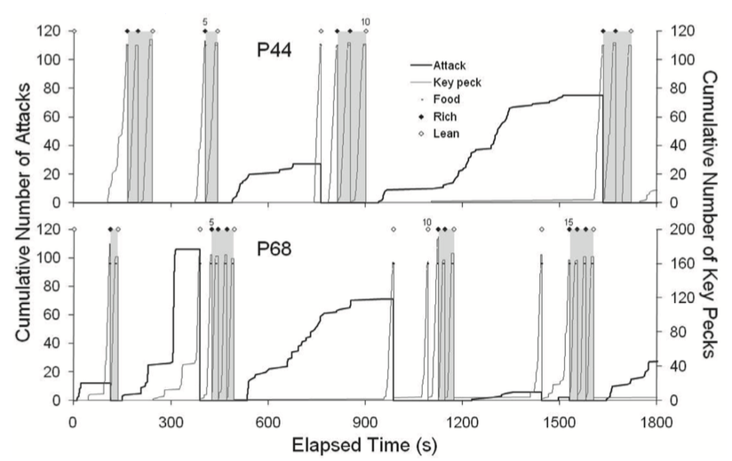 Cumulative number of attacks and keypecks