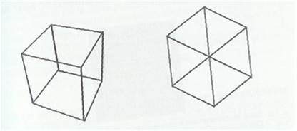 Cubo visto desde un punto de vista gen&eacute;rico y no-gen&eacute;rico.