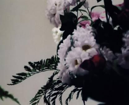 Blumen. Richter (1992)