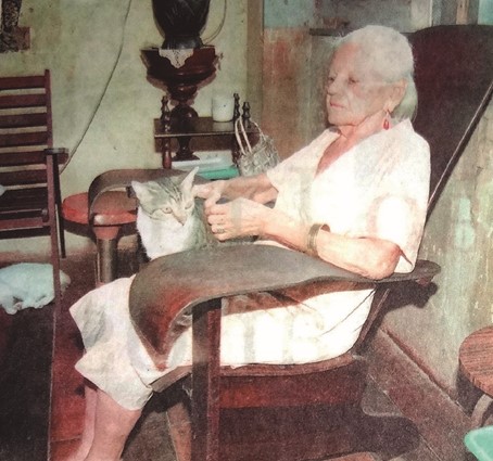 Dona Laura e seus felinos