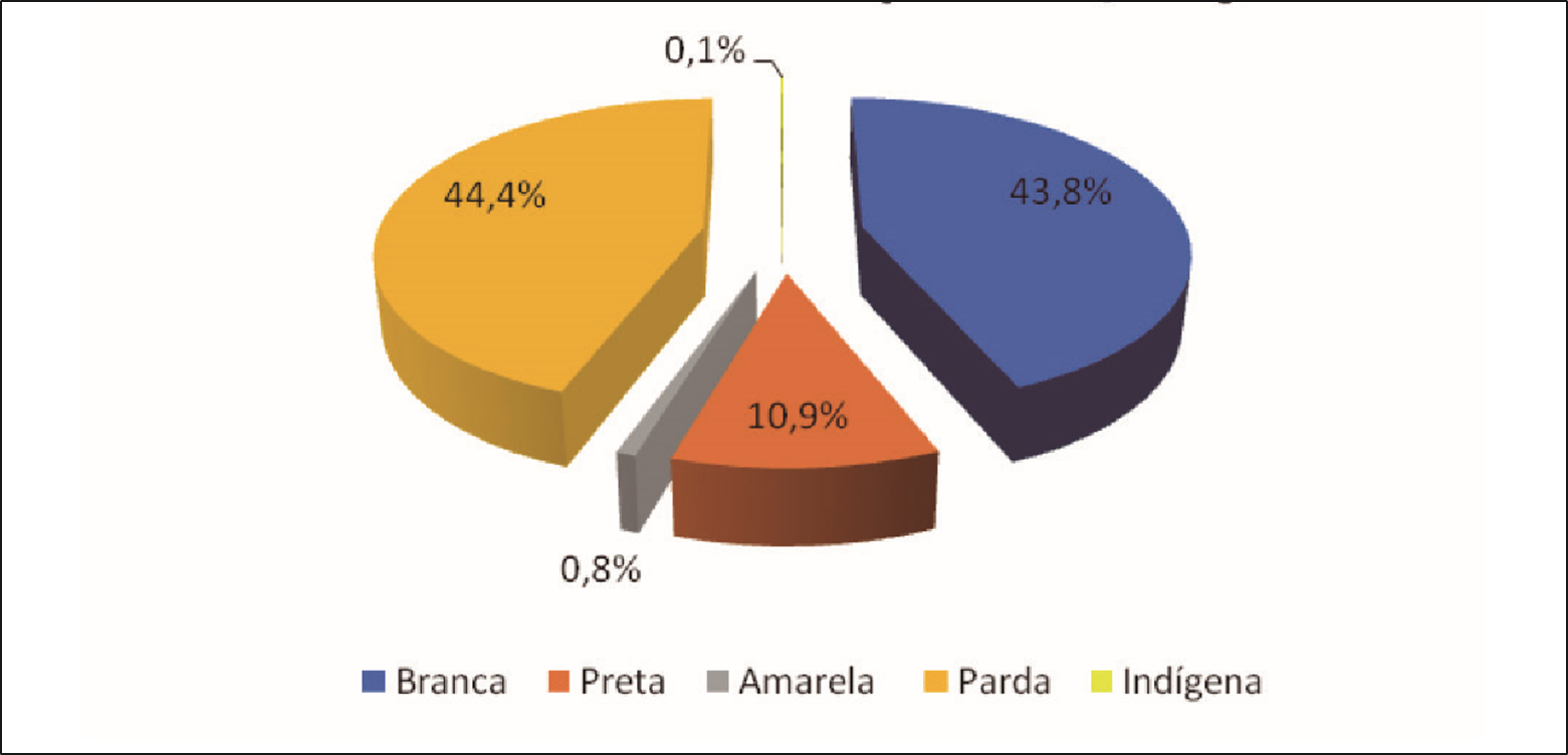 Residentes por cor/ra&ccedil;a.