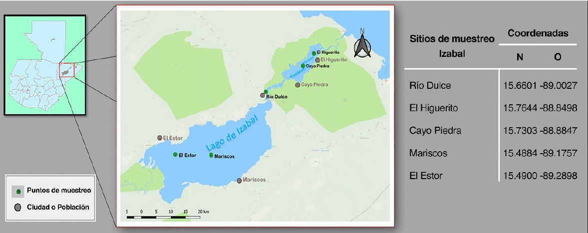 Mapa de coordenadas geogrficas donde se llevaron a cabo los muestreos en el departamento de Izabal Guatemala