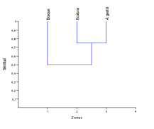 Dendograma de similitud de la comunidad de Anolis para les tres coberturas vegetales en el �rea de influencia de la Estaci�n Ambiental del Alto San Juan Mmunicipio de Tad� Choc�  Colombia