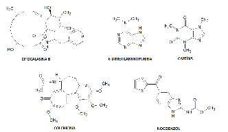 Estructura de algunos inductores de poliploid�as