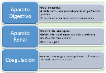 Principales efectos adversos de AINEs en felinos y caninos