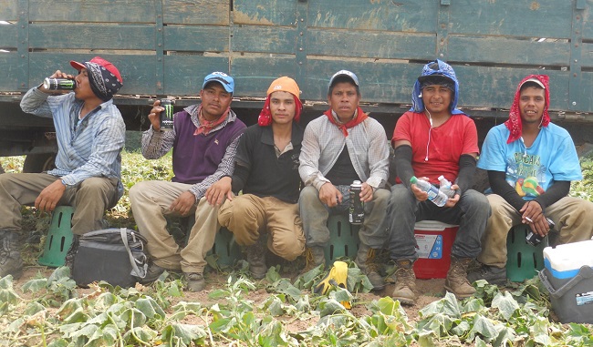 El Monster como revulsivo para los migrantes purh&eacute;pechas