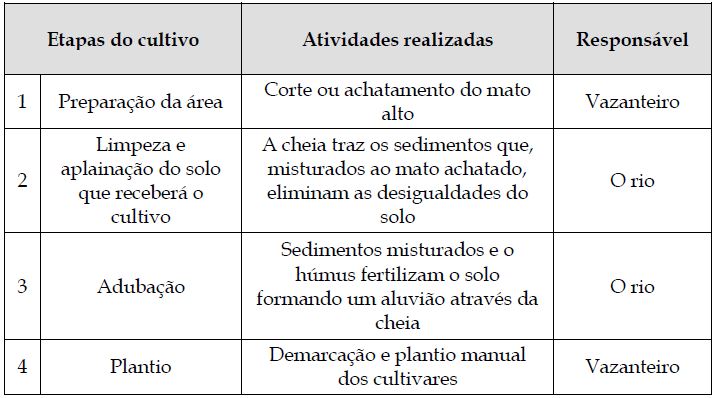 Agricultura de vazante: etapas do cultivo