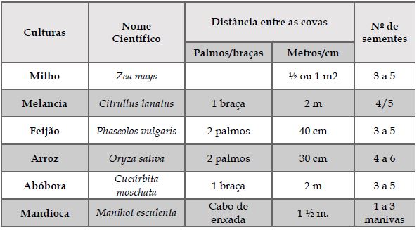 Distanciamento e quantidade de sementes/caroos colocados nas covas