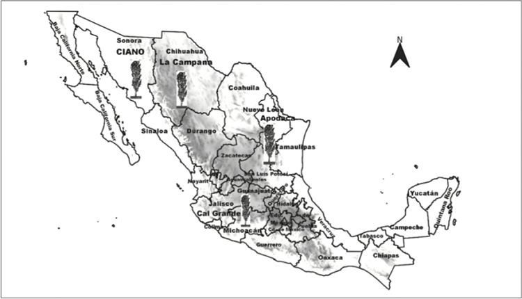 Localización de los campos experimentales para la adaptación y difusión en la agricultura mexicana