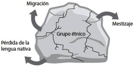 La cohesión del grupo étnico y las variables disgregadoras