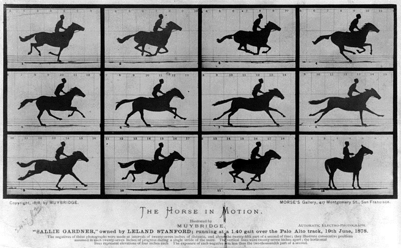 Eadward Muybridge, The horse in motion (1878). Secuencia fotogr�fica de 12 tarjetas[50].