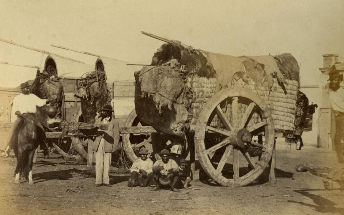 Carretas de la campa�a en Recuerdos de Buenos Ayres, 1864. Fotograf�a sobre cartulina, 24 x 33 cm.[21].