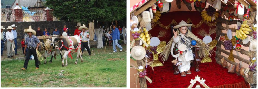 Fiesta del Corpus Christi en Sevina, Sierra purépecha