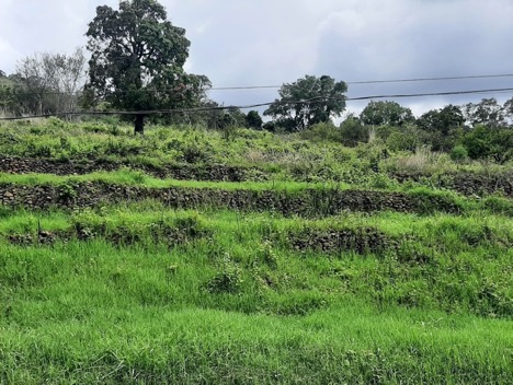 Paisaje con galpagos en Atotonilco el Alto