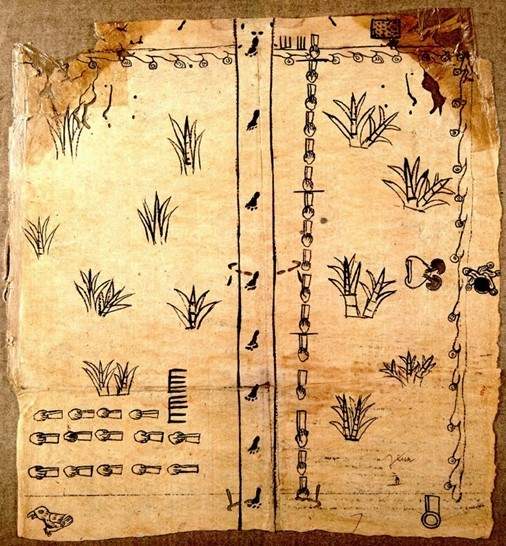 Codex from the Marquisate of the Oaxaca valley