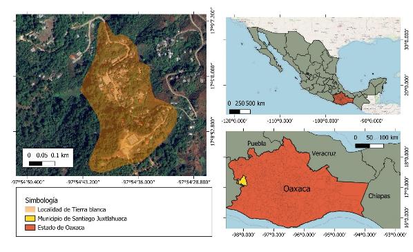 Localizaci�n de la entidad federativa y municipio de origen de la poblaci�n triqui desplazada en 2020 de Tierra Blanca Copala, Oaxaca, M�xico
